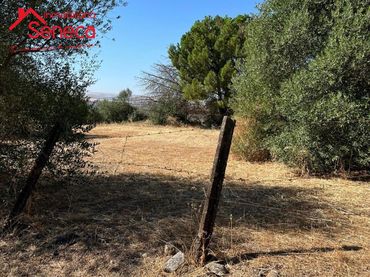 Terreno rustico in vendita a CASILLA DEL  AIRE