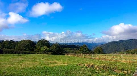 Foto 2 de Finca rústica en venda a Lugar Carballino, Ribas de Sil, Lugo