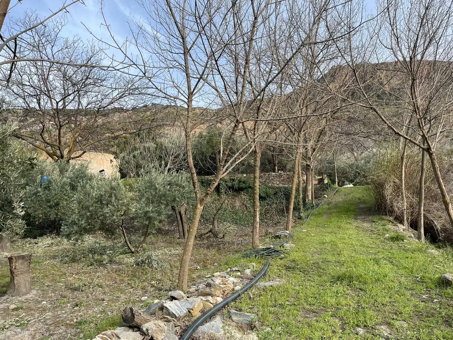 Terreny en venda en Lecrín