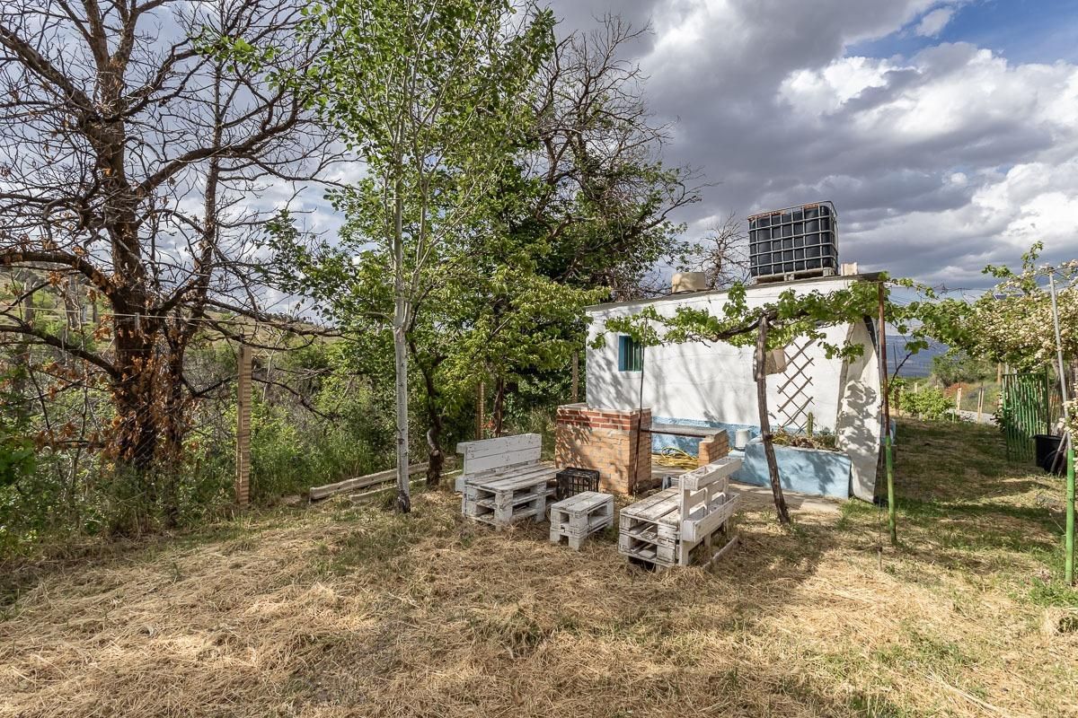 Jardí de Finca rústica en venda en Dólar amb Terrassa