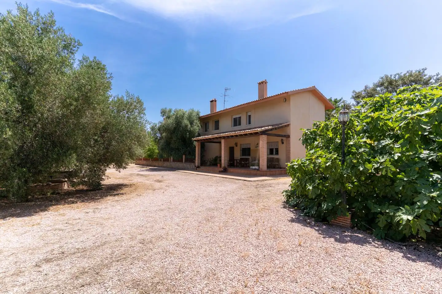 Jardí de Casa o xalet en venda en Elche / Elx amb Calefacció, Terrassa i Traster