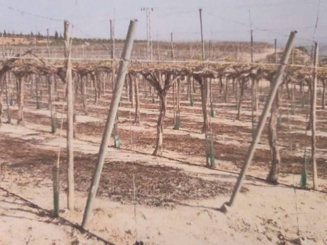 Terreno en Venta en San Antón