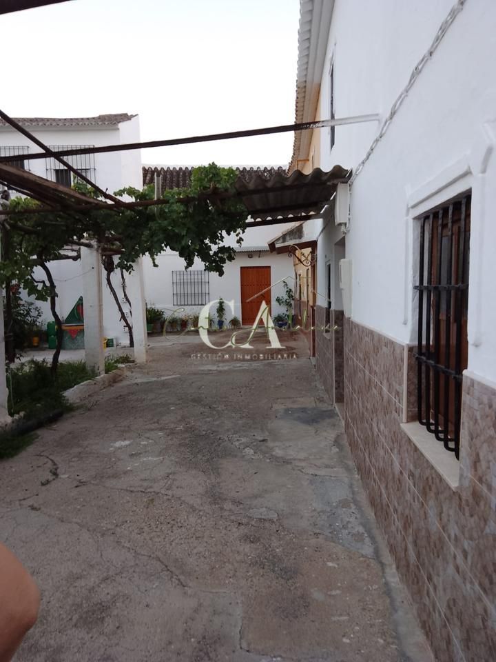 Exterior view of Houses for sale in Puente Genil  with Private garden