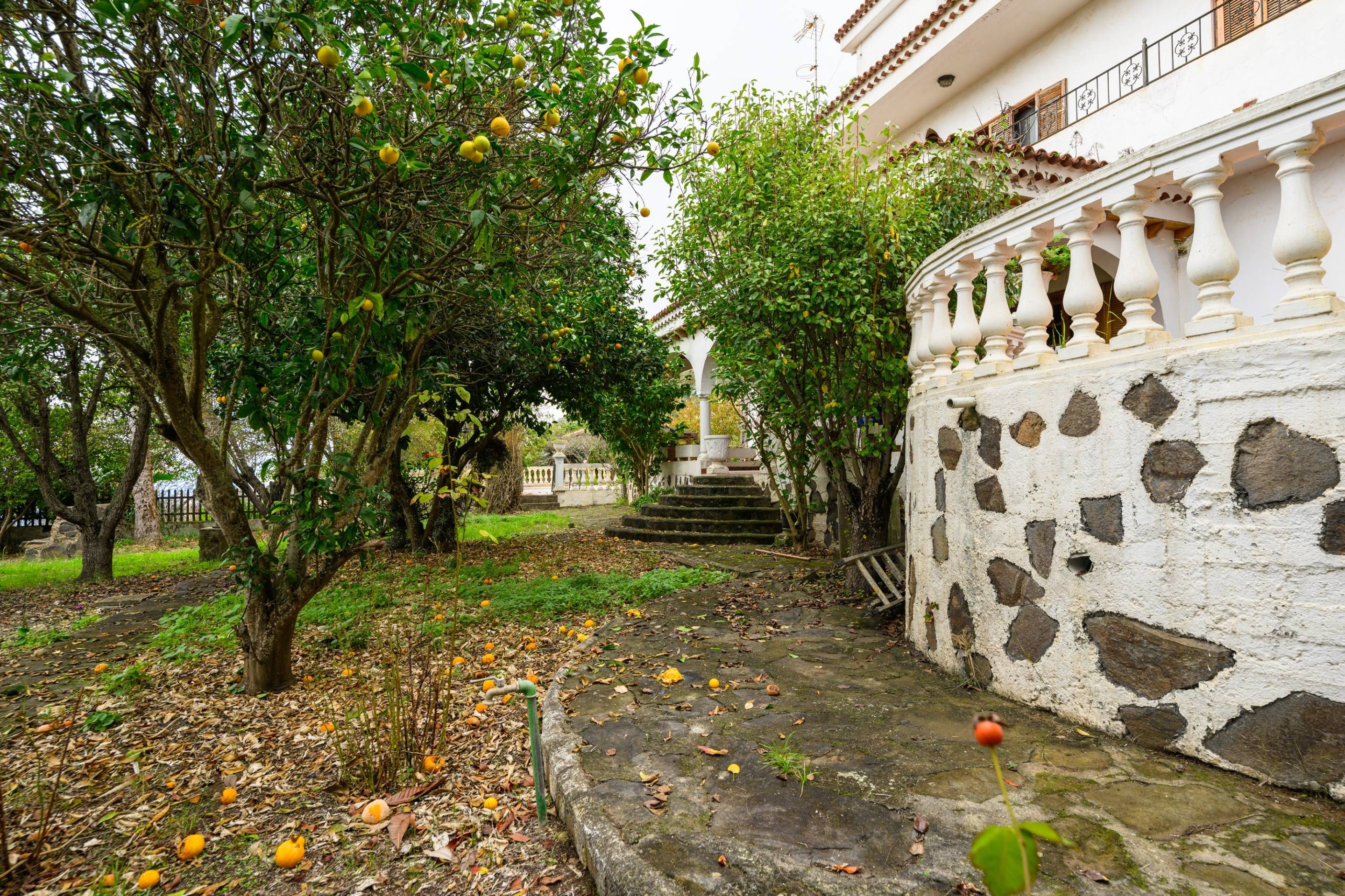 Jardín de Casa o chalet en venta en Teror