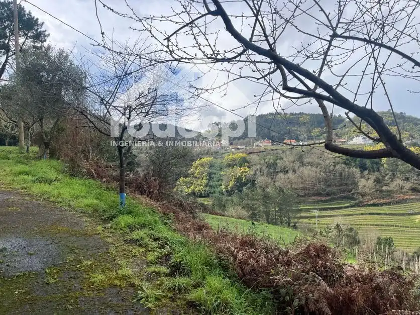 Casa o chalet en venta en Castrelo de Miño