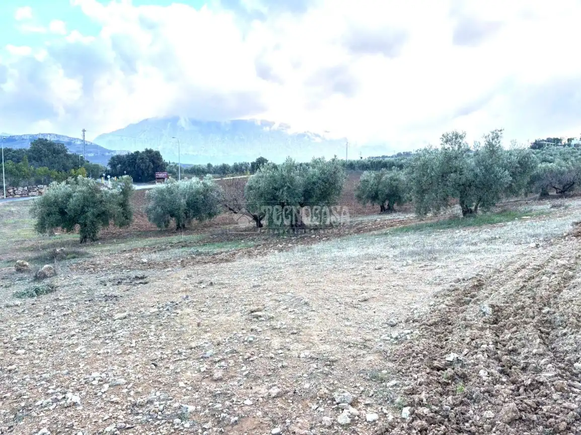 Terreni e lotti in vendita a Centro, imagen 2