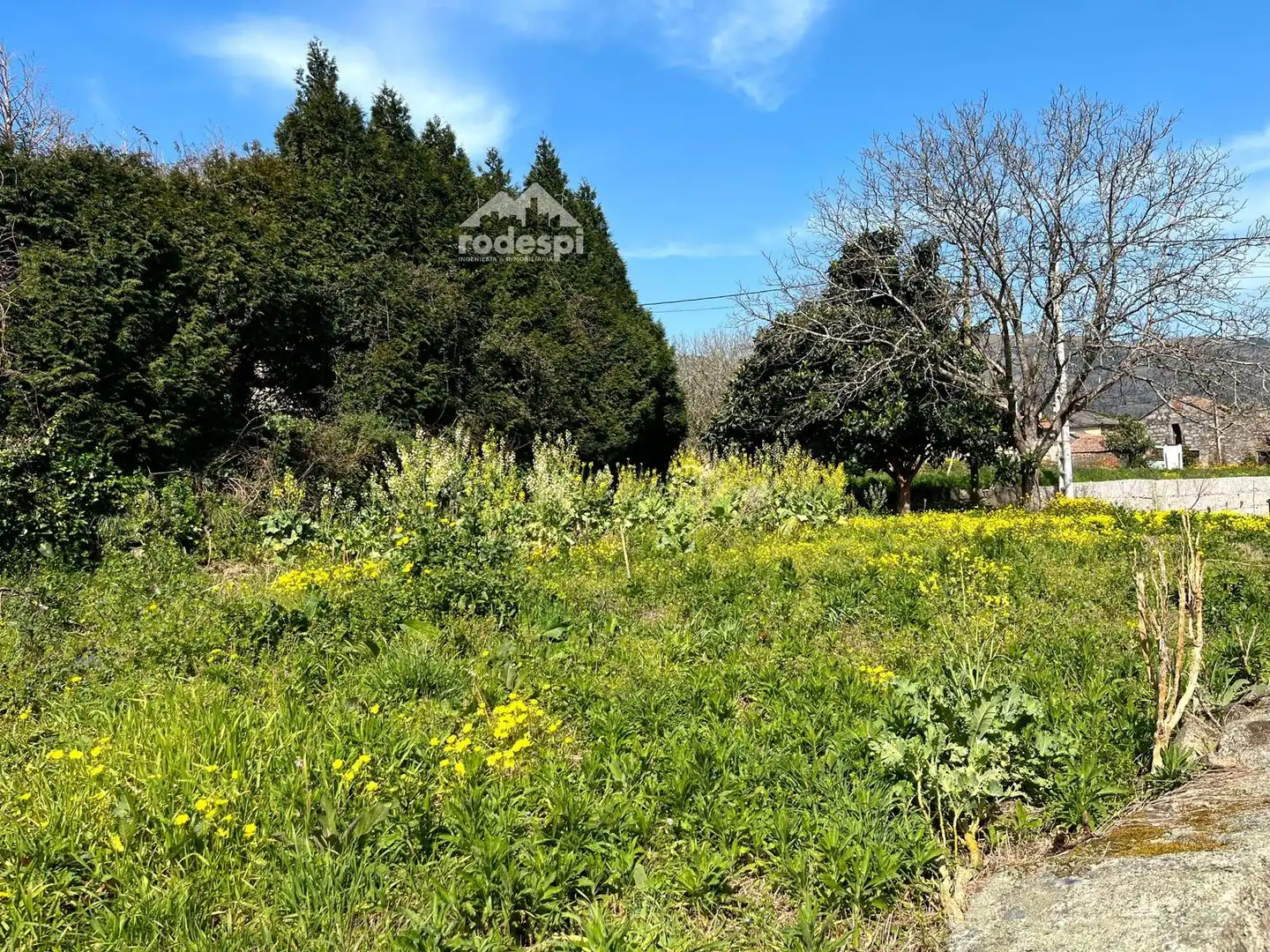 Rural land for sale in Arbo, imagen 3