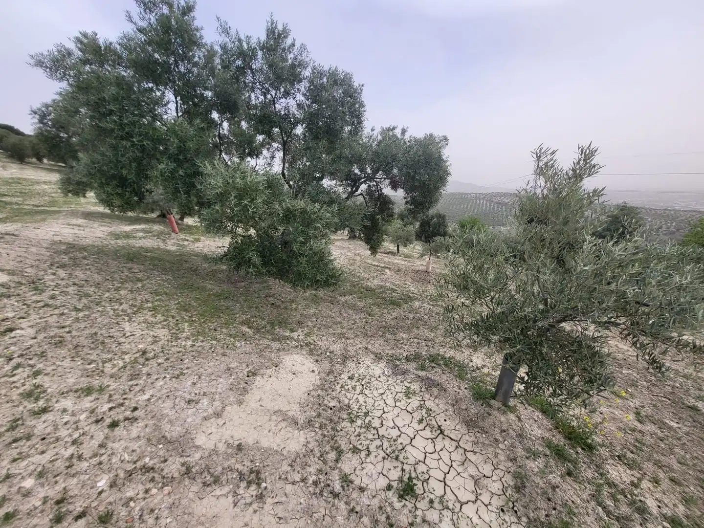 Rustikales Grundstück zum Verkauf in Güevéjar, imagen 10