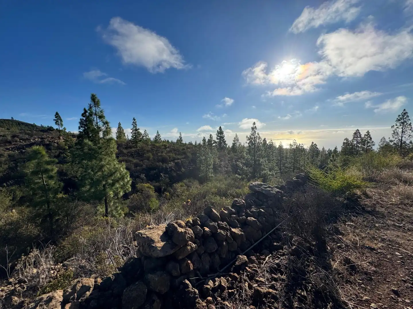 Vista exterior de Finca rústica en venta en Granadilla de Abona
