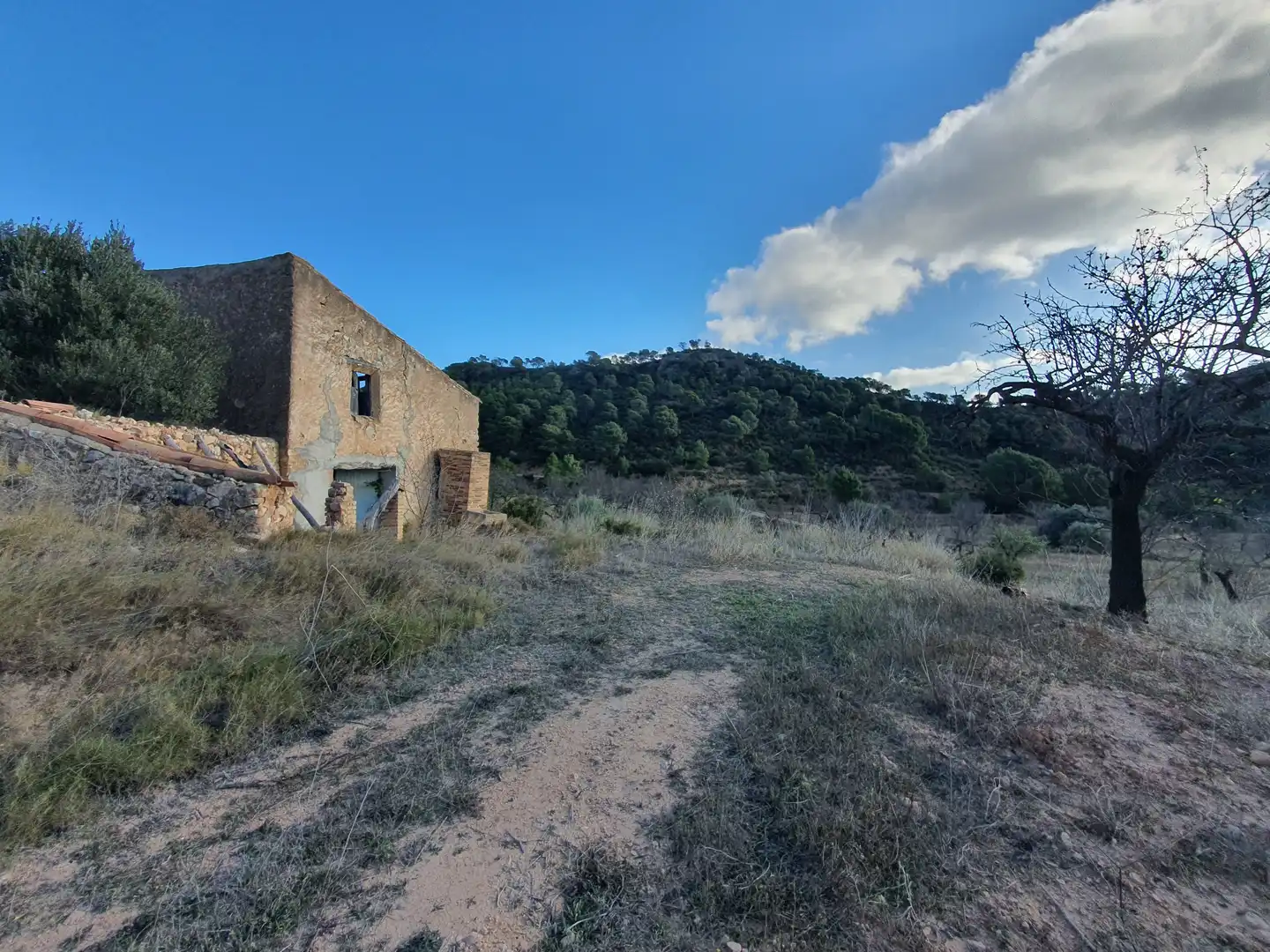 Maison à vendre à El Pinell de Brai, imagen 7