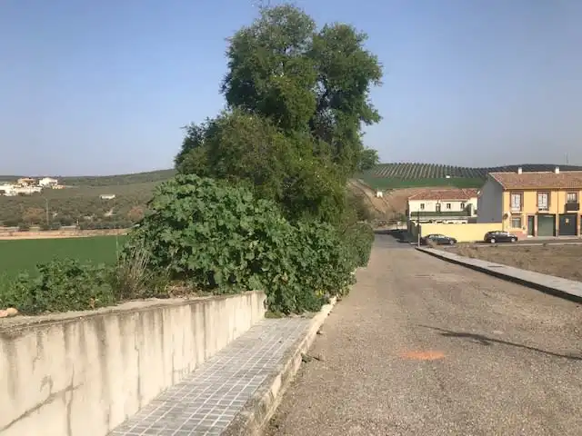 Terreny rústic en venda a DEL COTO, imagen 5