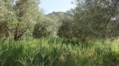 Photo 4 of Country house for sale in Órgiva, Granada