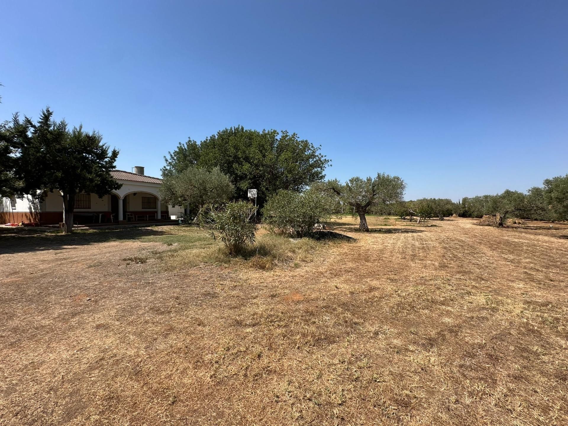 Casa o chalet en venta en Utrera