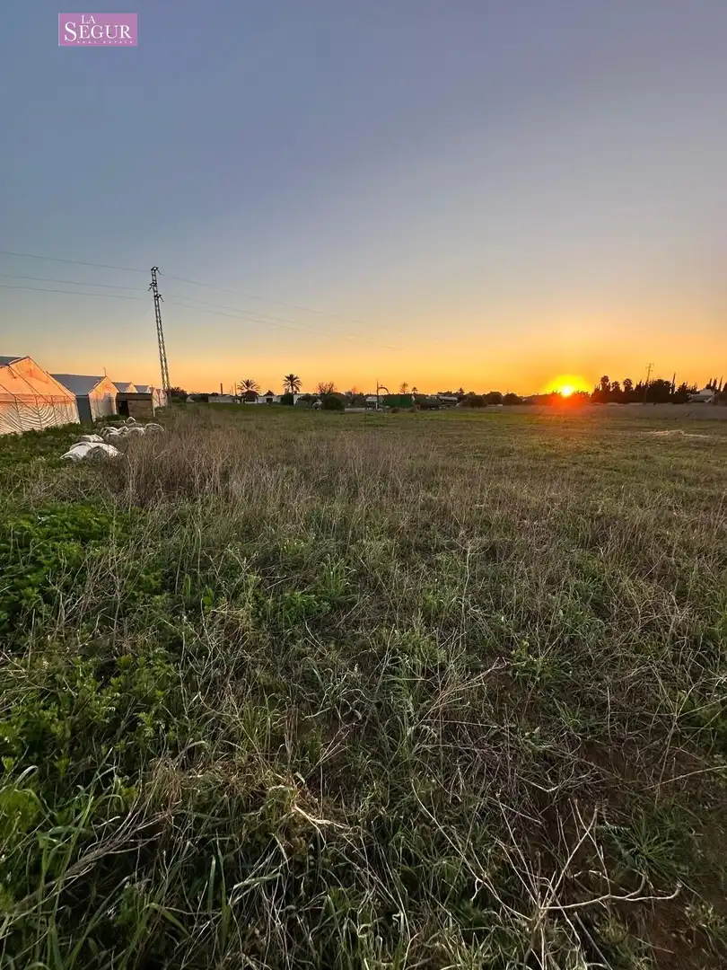 Rural land for sale in Conil, imagen 4