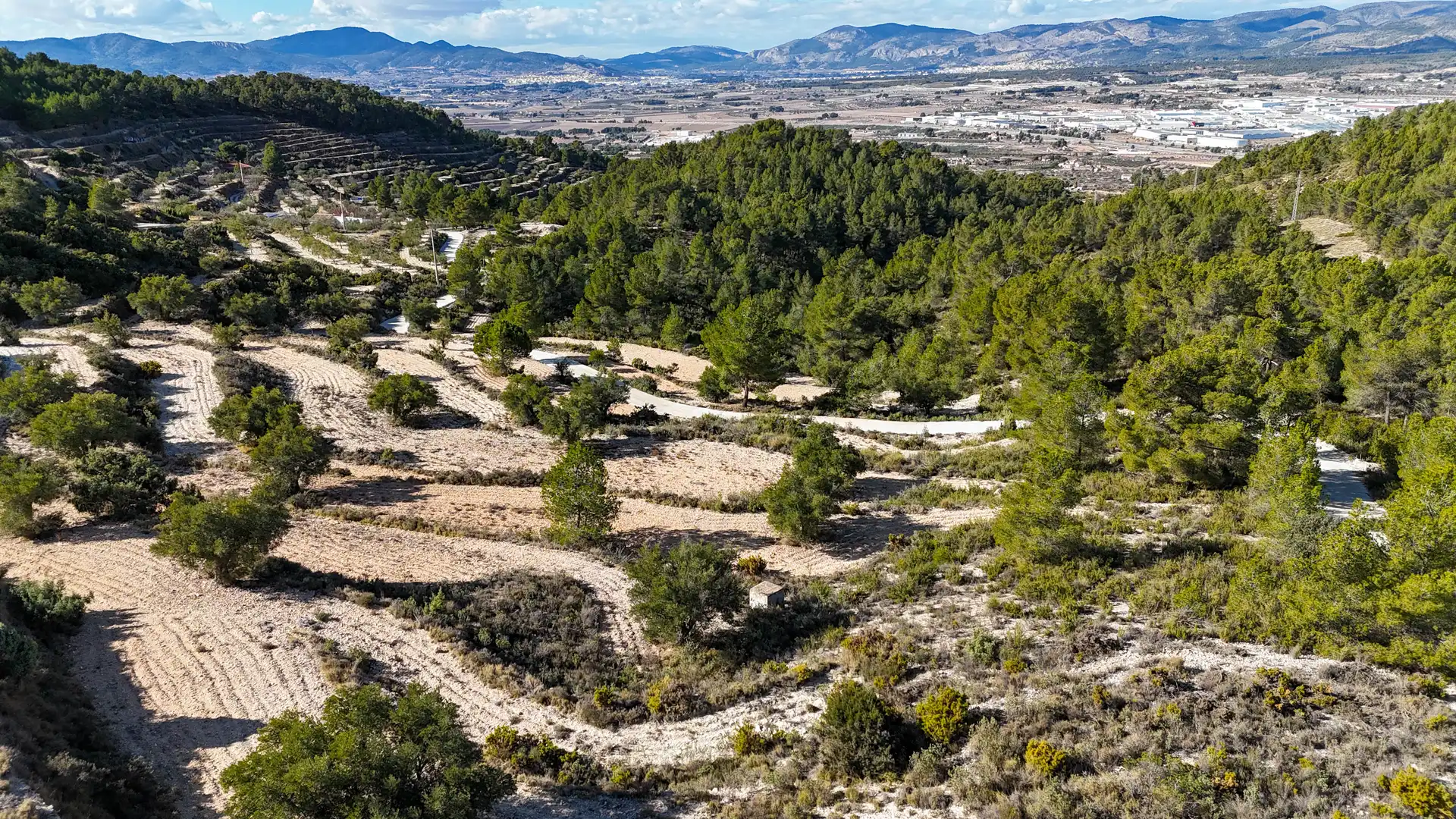Terreno rústico en venta en Ibi, imagen 7