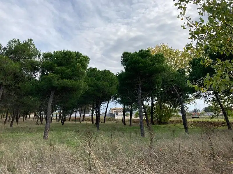Terreno rustico in vendita a Pelabravo, imagen 4