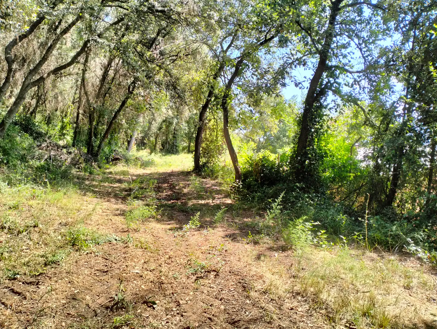 Casa o xalet en venda en Cervià de Ter amb Jardí privat, Terrassa i Balcó