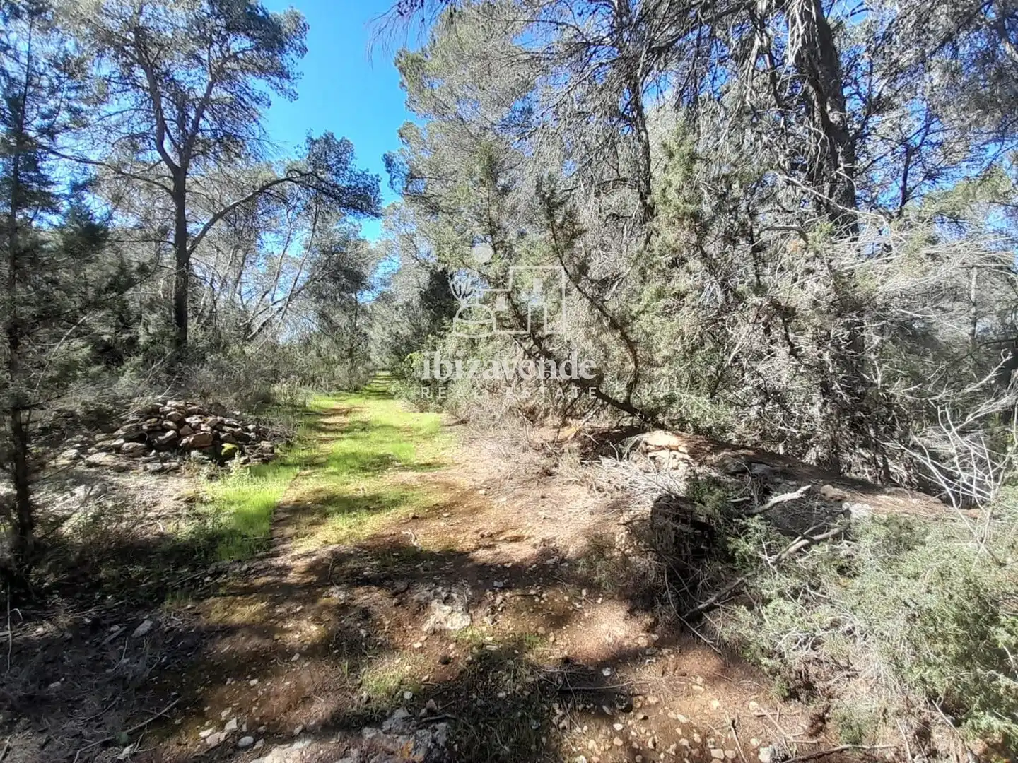 Terreny rústic en venda a es Pujolet, imagen 16