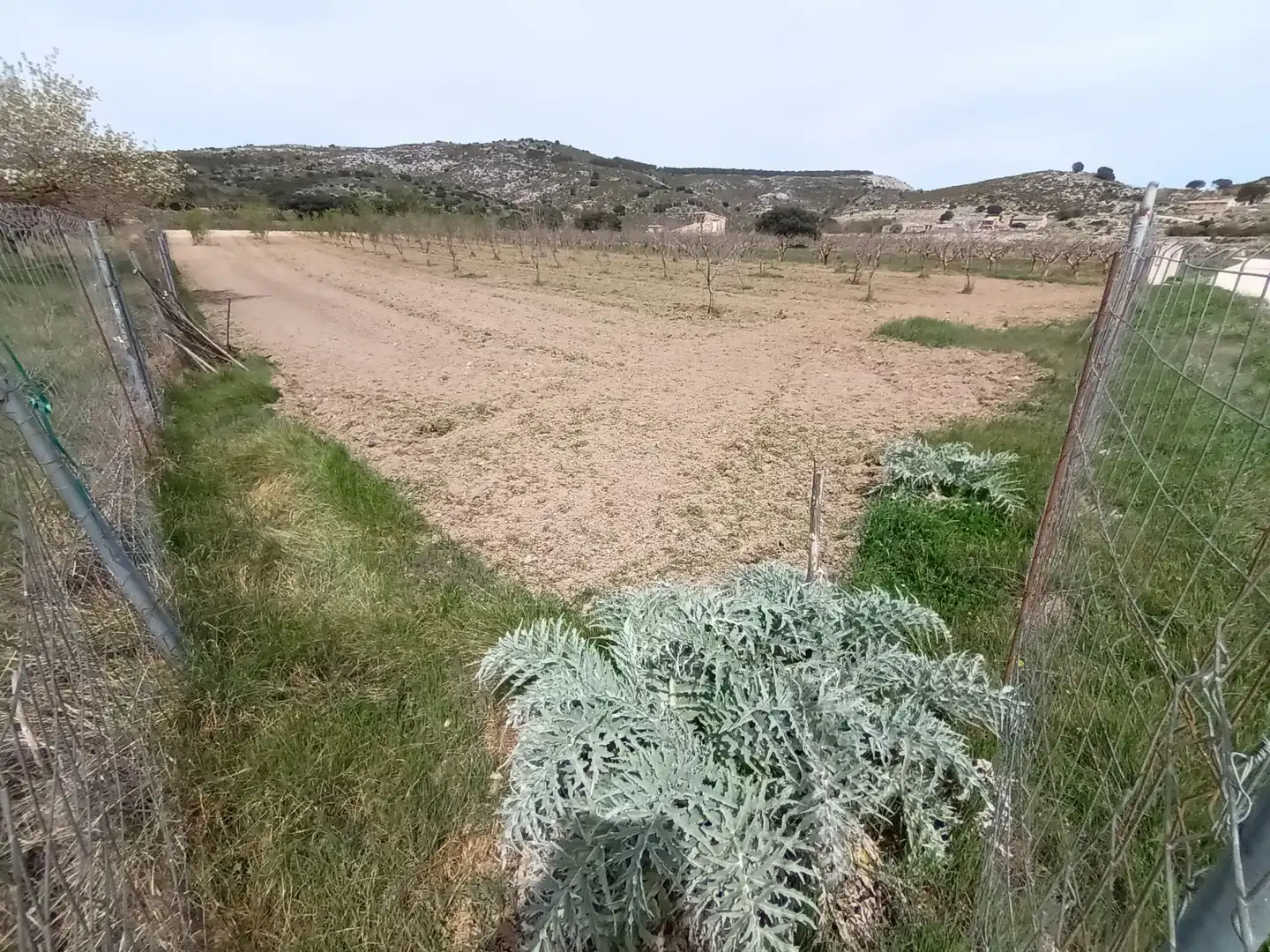 Terreno en venta en Castell de Castells