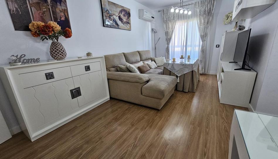 Photo 1 of Flat to rent in Hijuela de la Canaleja, Pago San José - Princi - Jerez, Cádiz