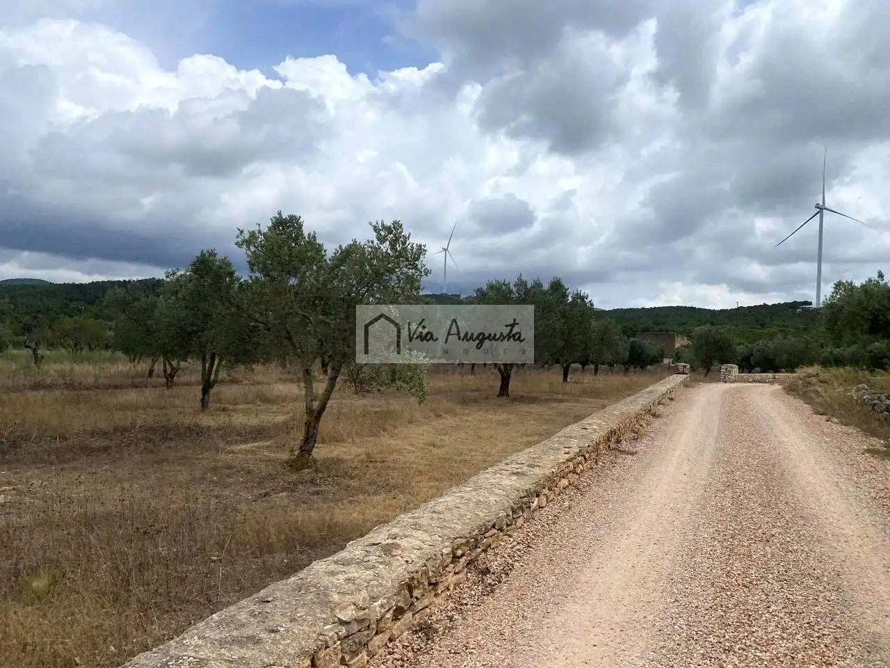 Terreno rustico in vendita a Burga, imagen 13