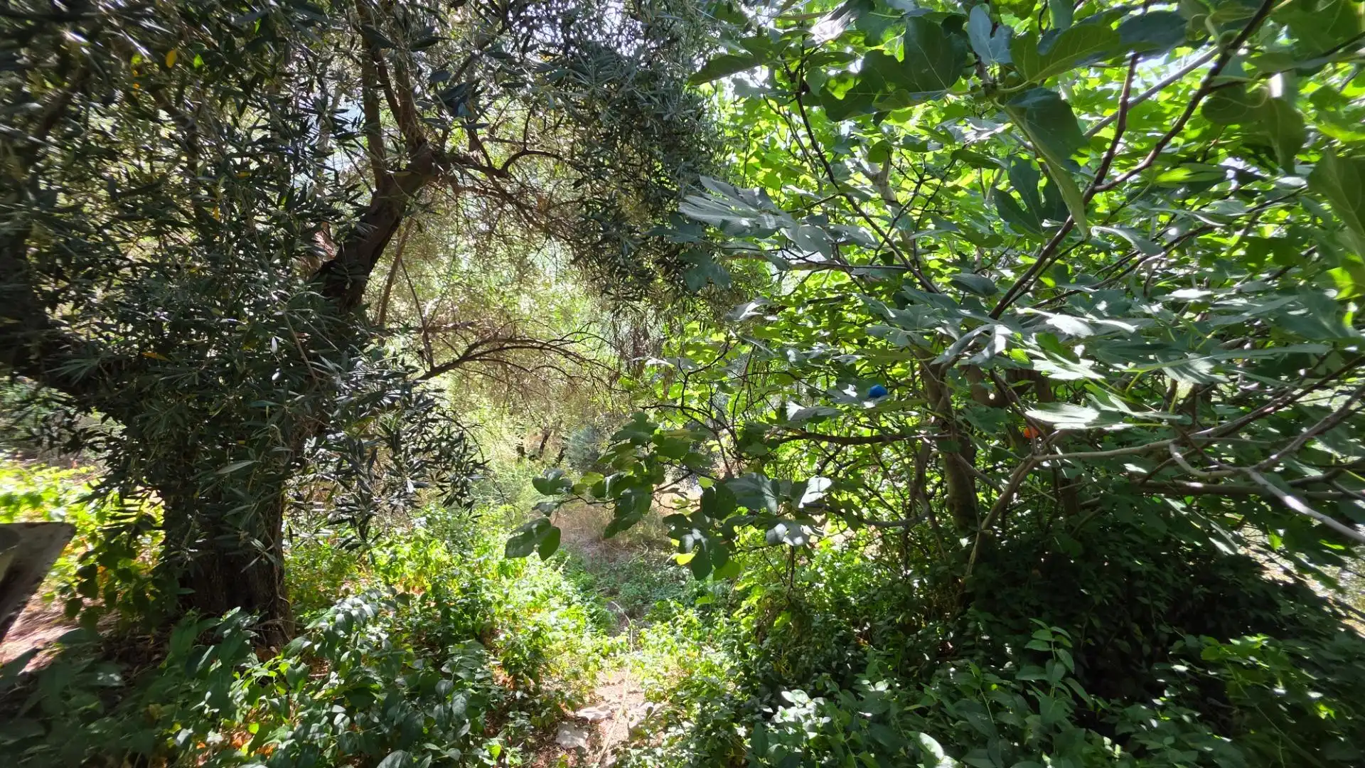 Finca rústica en venda en Jaén amb Calefacció, Jardí privat i Terrassa