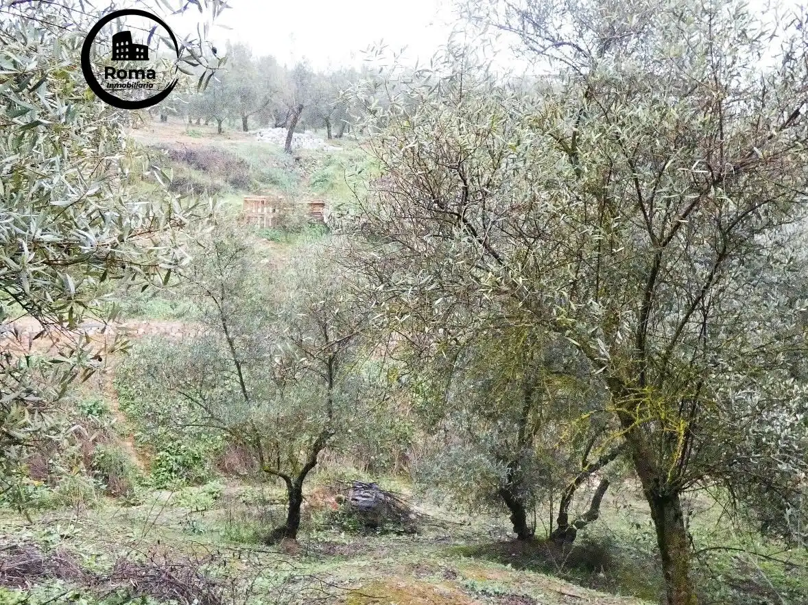 Terrain rustique à vendre à Peligros, imagen 5