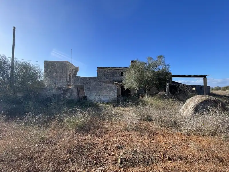 Finca rústica en venta en Campos con Trastero