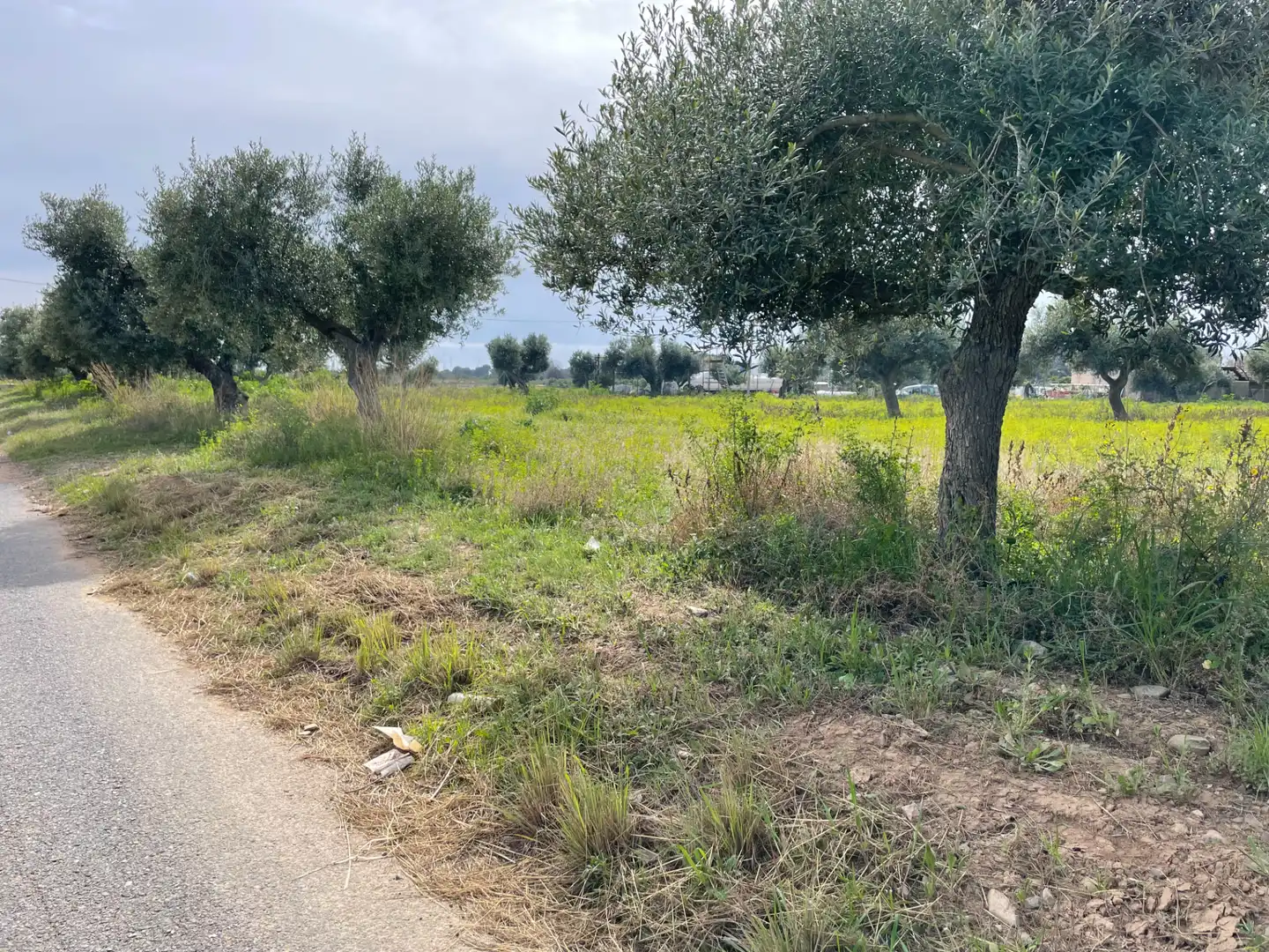 Grundstücke zum Verkauf in Cambrils