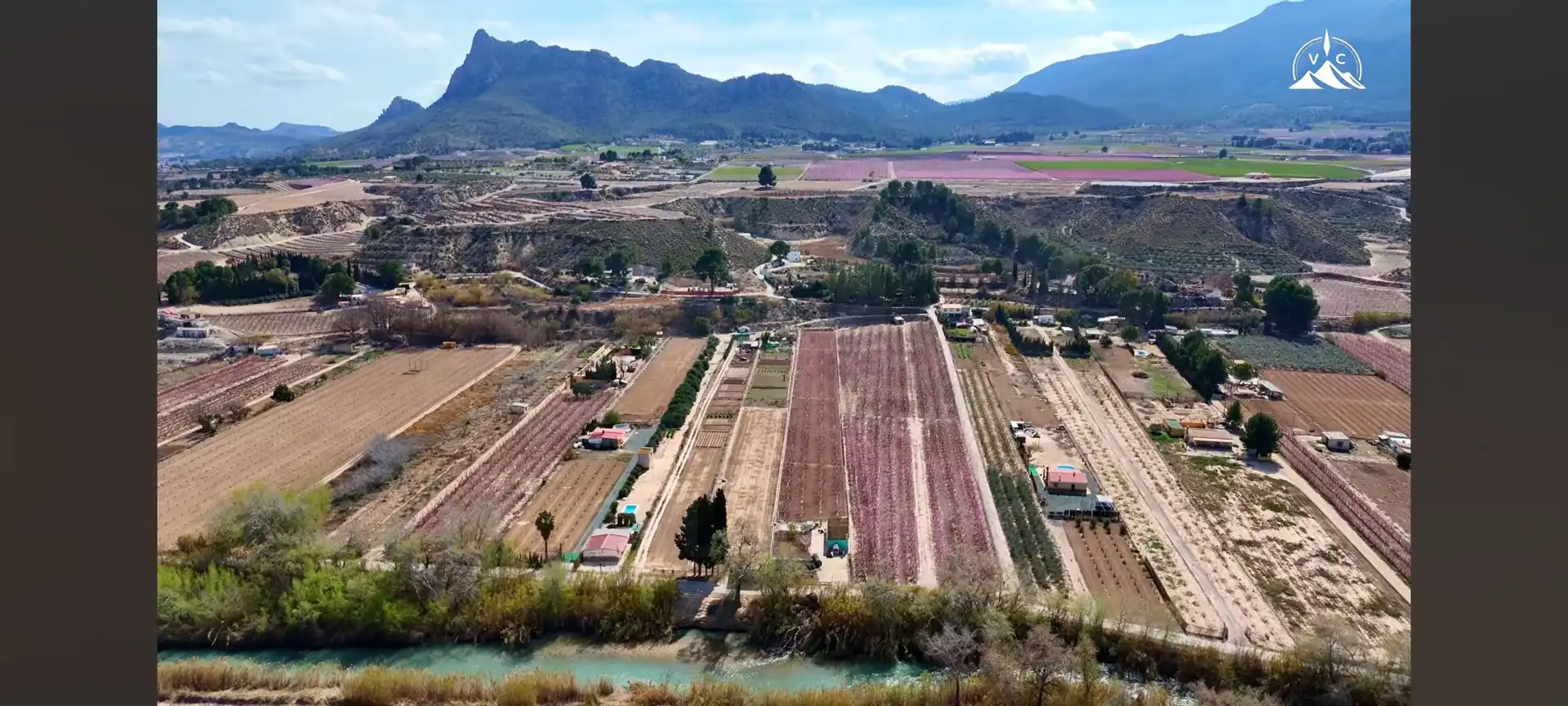 Terreno rústico en venta en Cieza, imagen 4