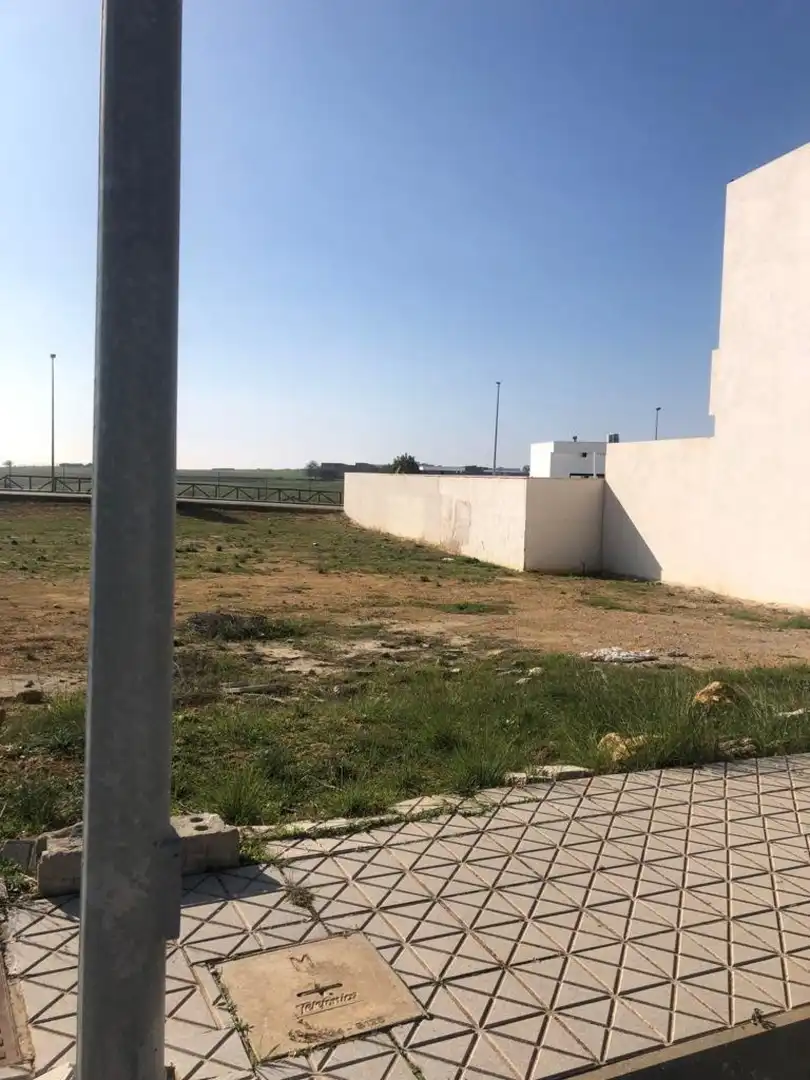 Lands and plots for sale in El Viso del Alcor, imagen 4