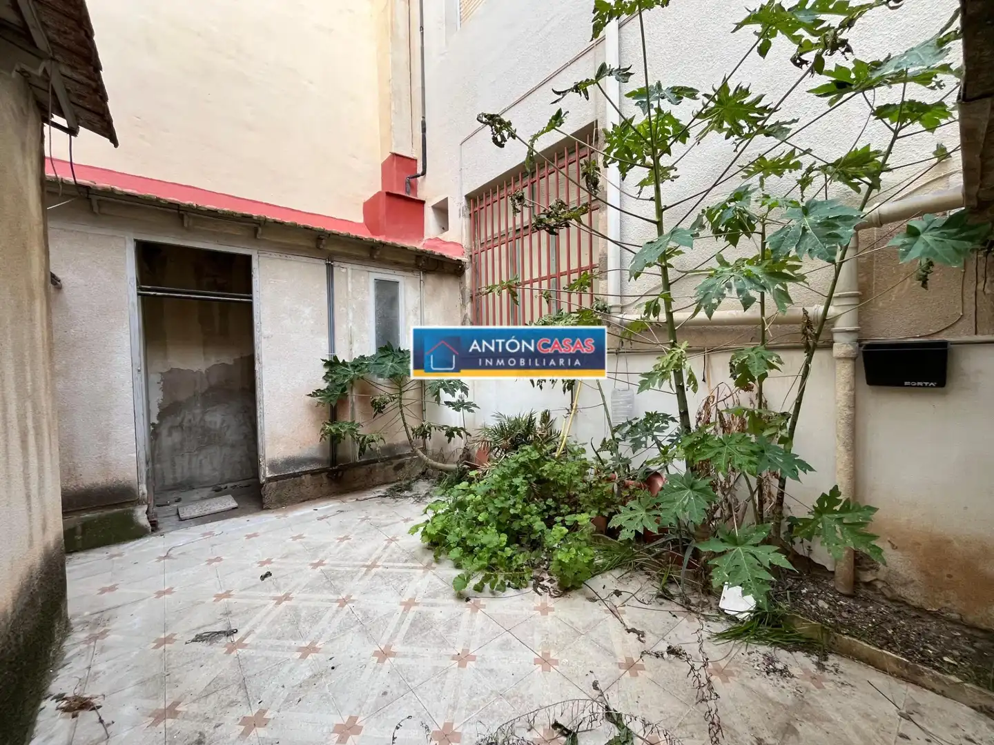 Vista exterior de Casa o chalet en venta en Novelda con Terraza, Trastero y Amueblado