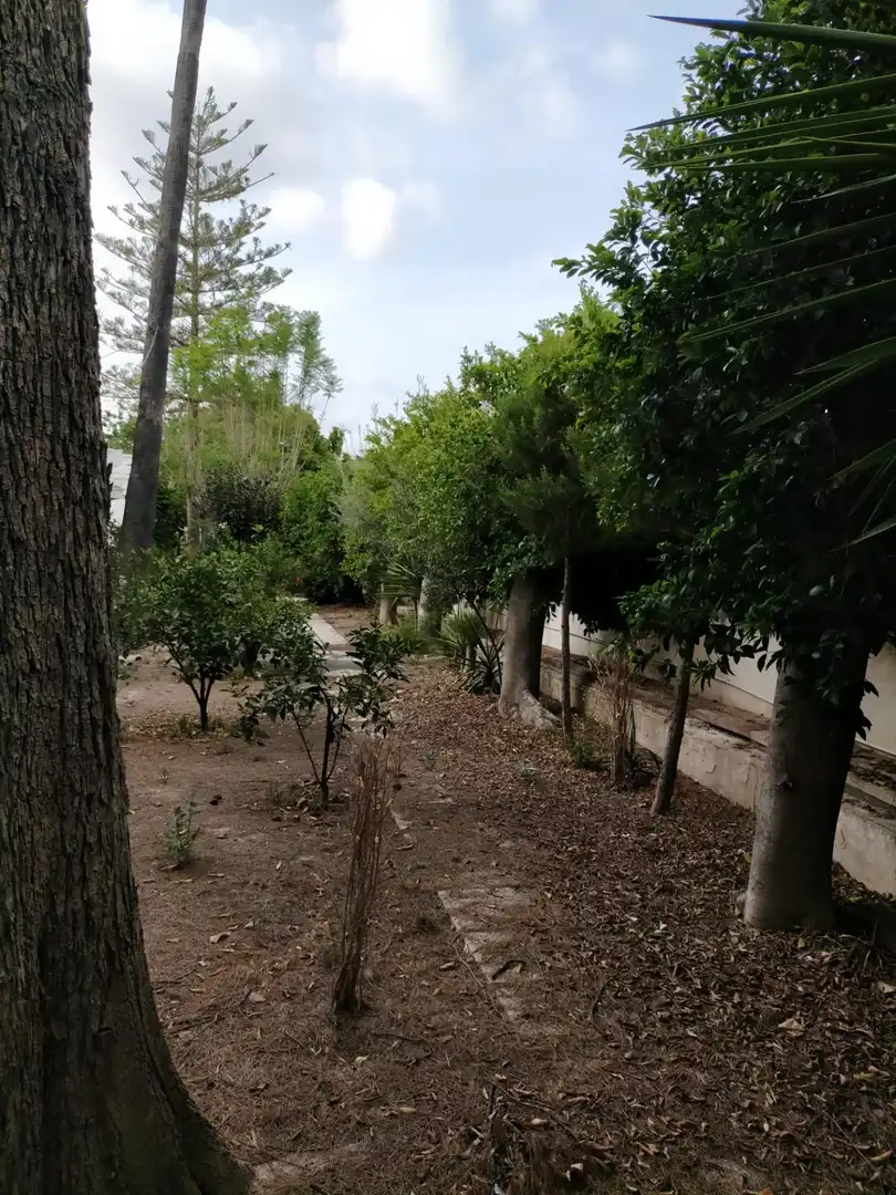 Casa amb jardí en venda a GARCÍA ROGEL, imagen 30
