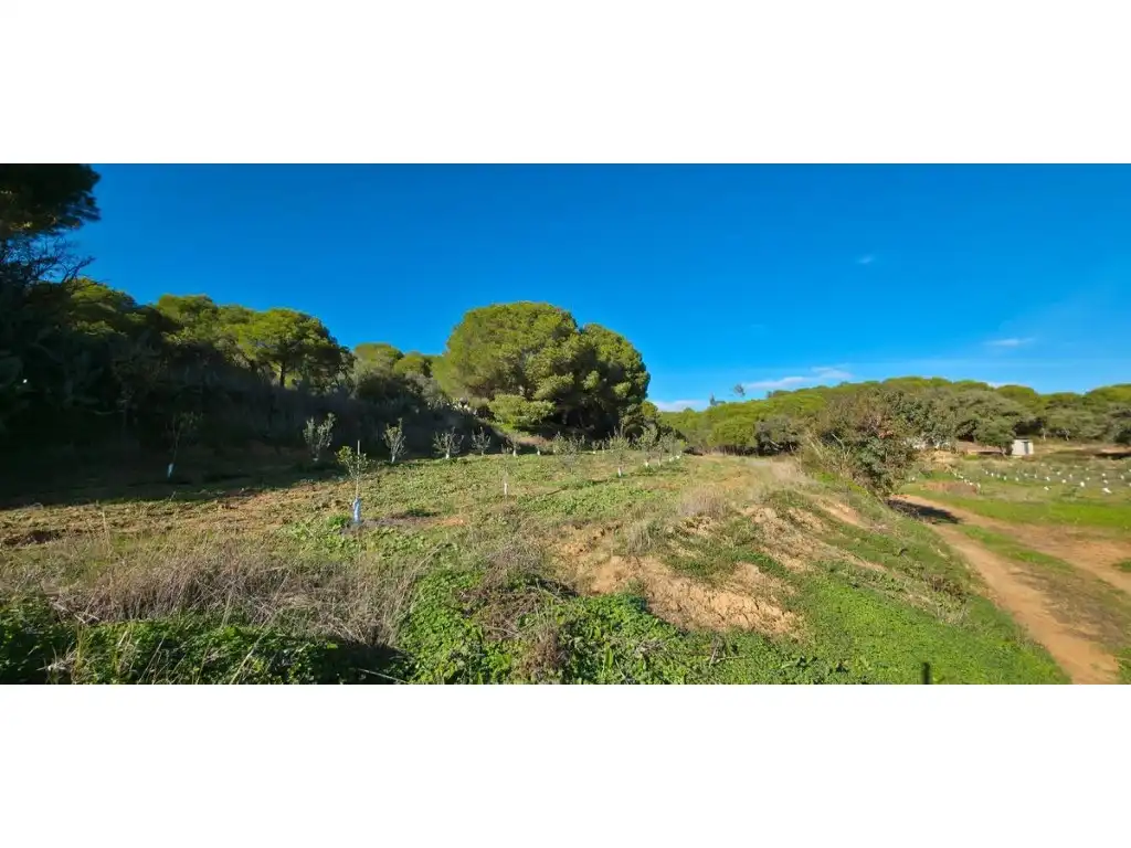 Terreni e lotti in vendita a Villablanca, imagen 4