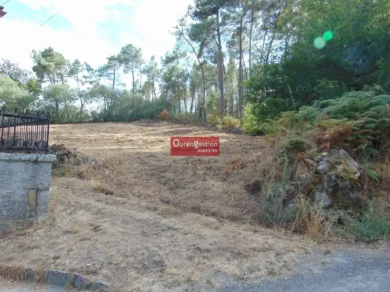 Terreni e lotti in vendita a Amoeiro, imagen 19