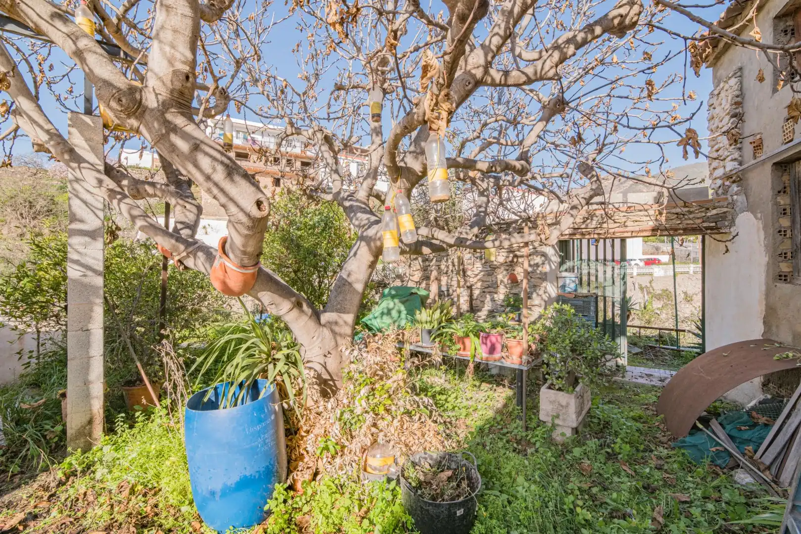 Jardí de Casa o xalet en venda en Molvízar amb Jardí privat, Terrassa i Traster