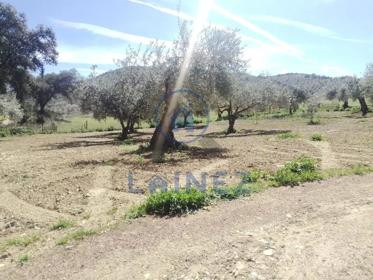 Terreny residencial en venda a Belmez, imagen 50