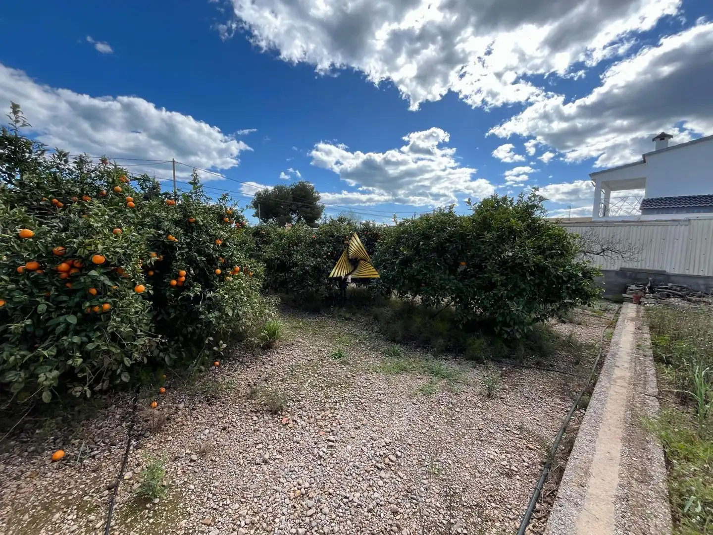 Terrenos y solares en venta en Pueblo, imagen 17