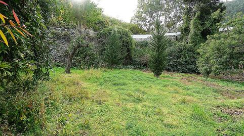 Foto 4 de Finca rústica en venda a Lomo del Hornillo, San José del Álamo - El Hornillo, Teror