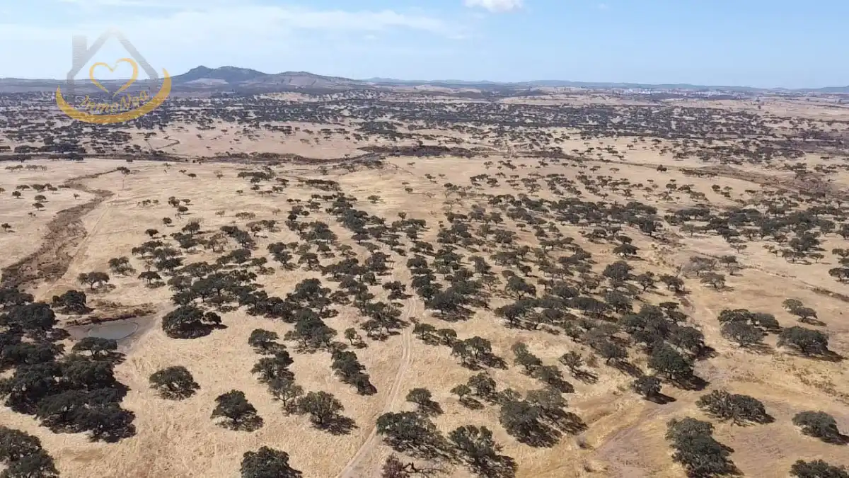 Terreni e lotti in vendita a Puebla de Guzmán, imagen 4