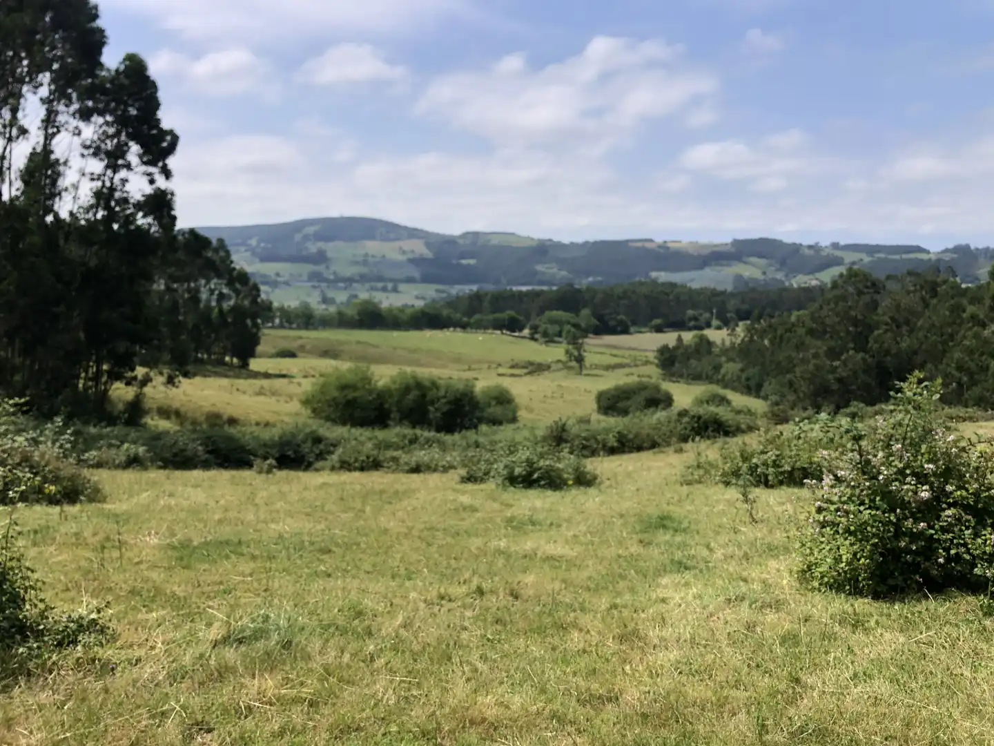 Finca rústica en venta en N/A, -1, Villaescusa (Cantabria)