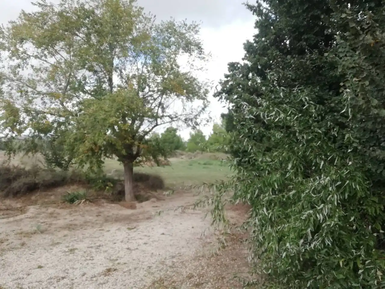 Finca rústica en venta en Pasaje PARTIDA CABRERAS, 39105, Sax