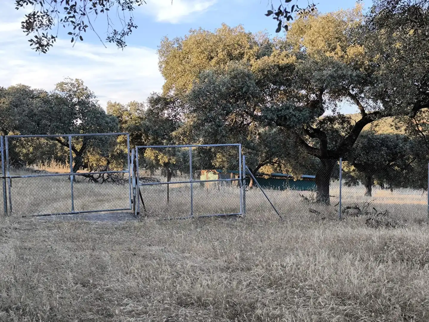 Rural land for sale in Fuente Obejuna, imagen 38