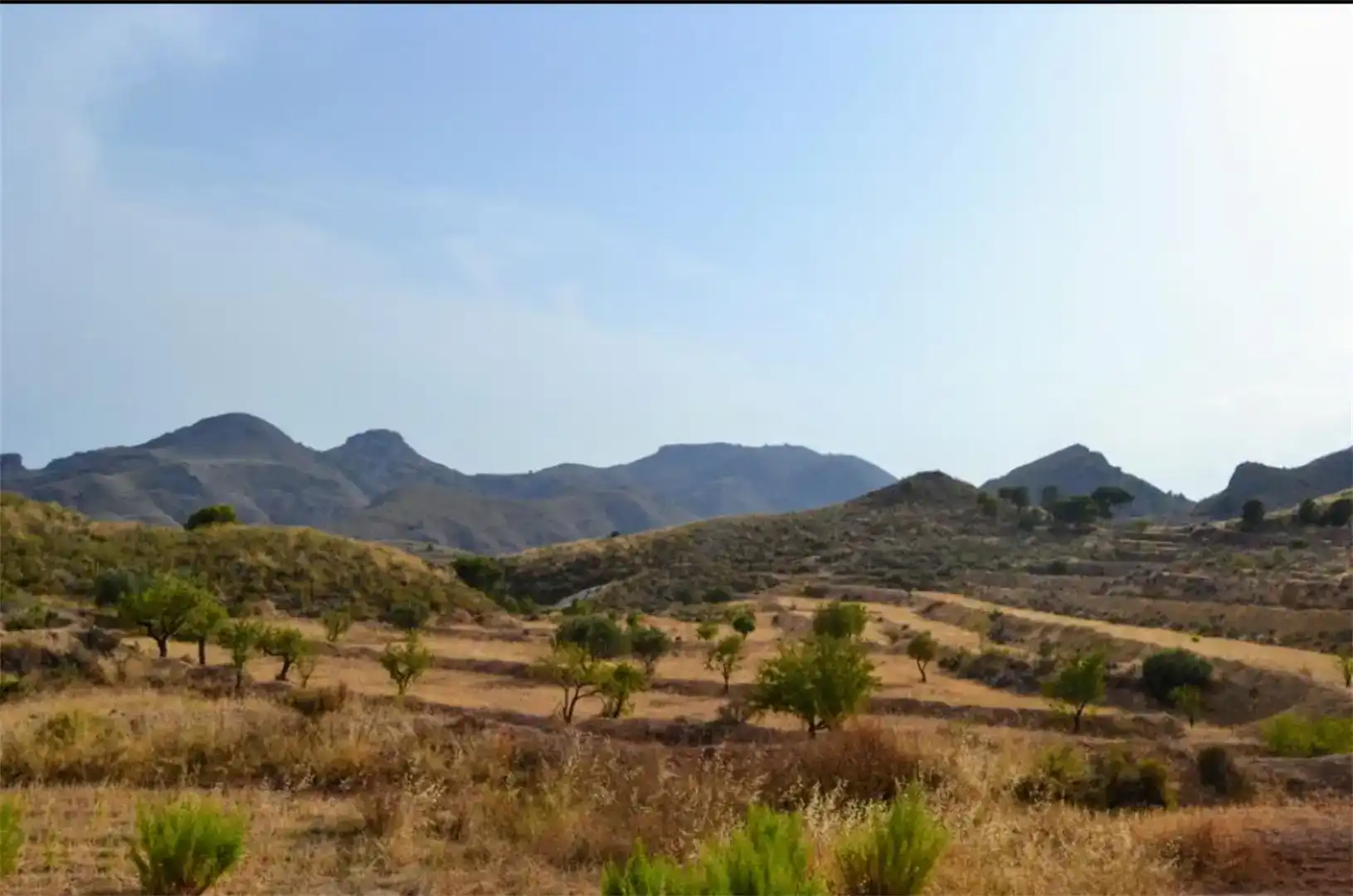 Land for sale in Lorca