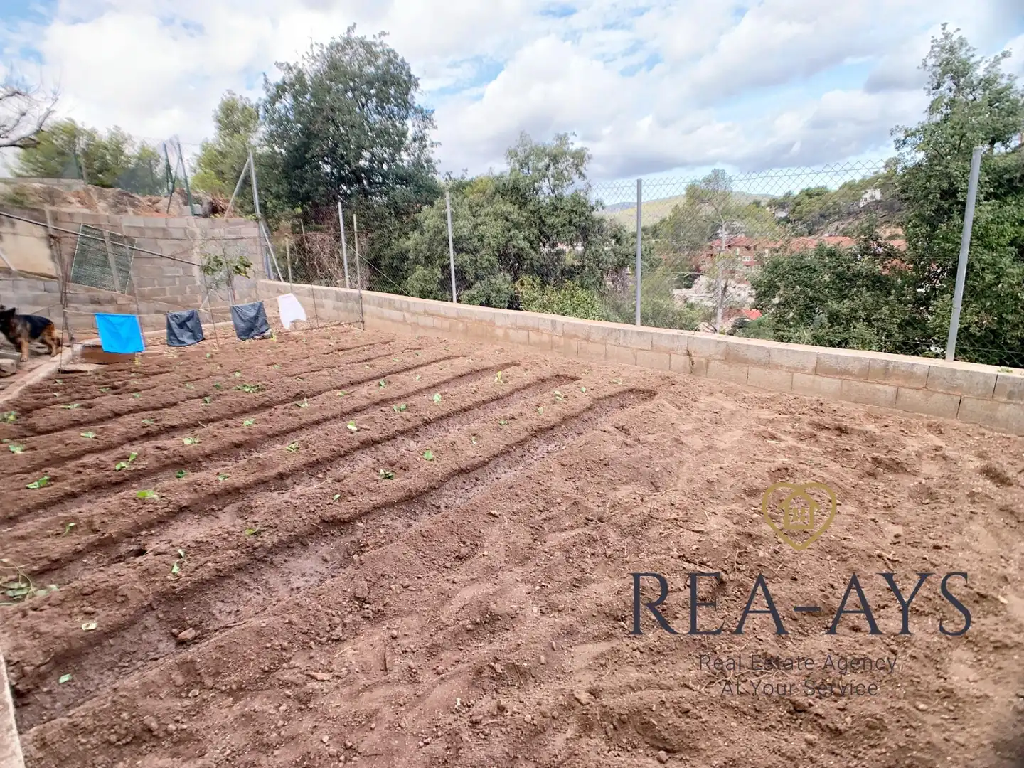 Villa avec terrasse à vendre à Avenida dels Països Catalans, imagen 42