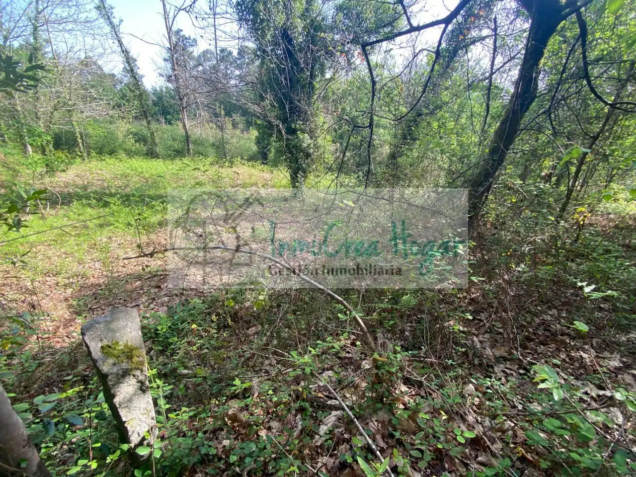 Terreny rústic en venda a Salvaterra de Miño, imagen 16