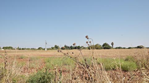 Photo 3 of Residential for sale in El Retiro - La Vid, Cádiz