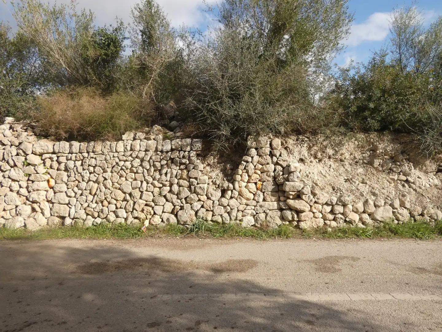 Terrain rustique à vendre à Muro, imagen 7