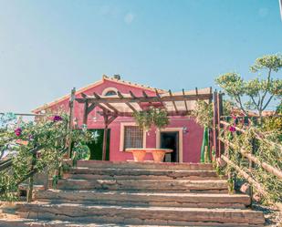 Vista exterior de Finca rústica de lloguer en Torre-Pacheco amb Aire condicionat, Calefacció i Jardí privat