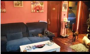 Flat for sale in San Miguel, Zorrotza